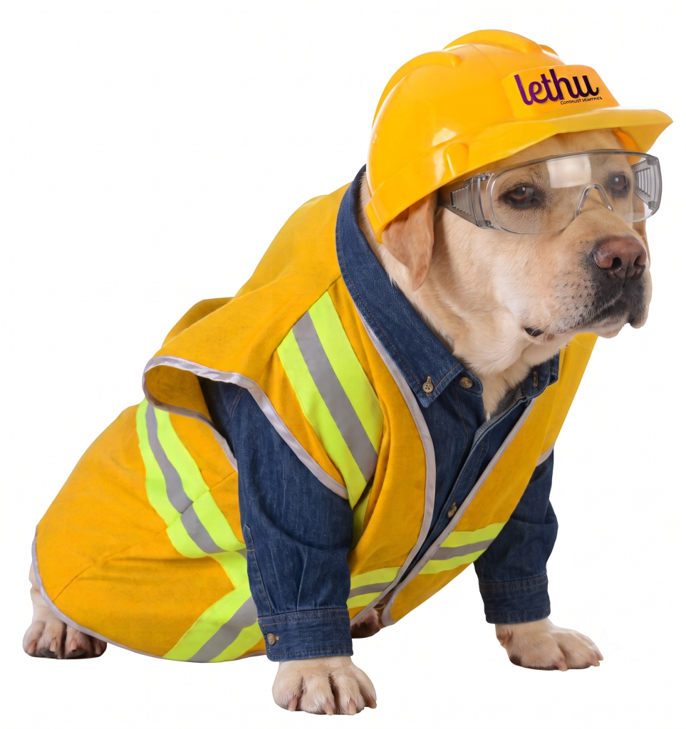 Woof!